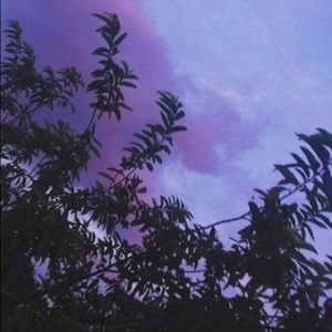 Meet your Posher, Meyankha